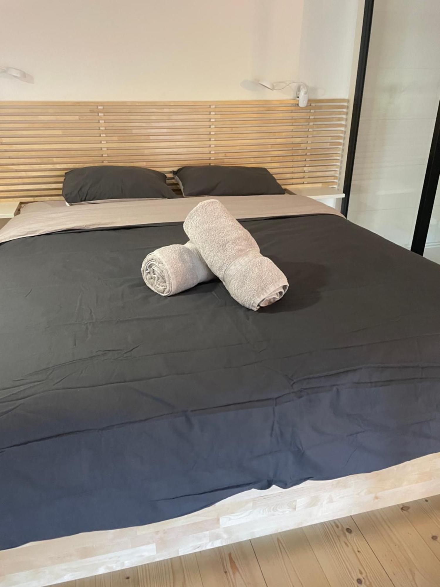 Centre - Superb With Mezzanine Cannes